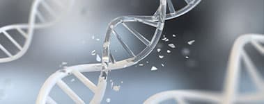 关于BIODEX®